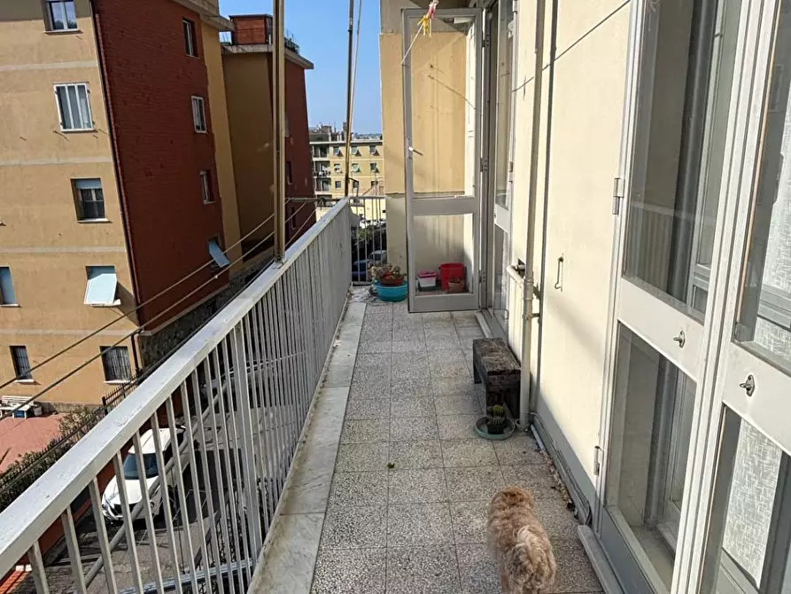 Immagine 11 di Appartamento in vendita  in Via Degli Oleandri 14 a Genova
