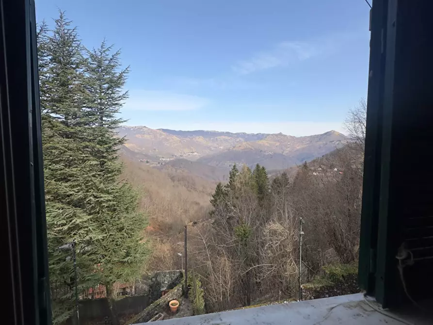 Immagine 38 di Villa in vendita  in Santa Maria del porto a Torriglia