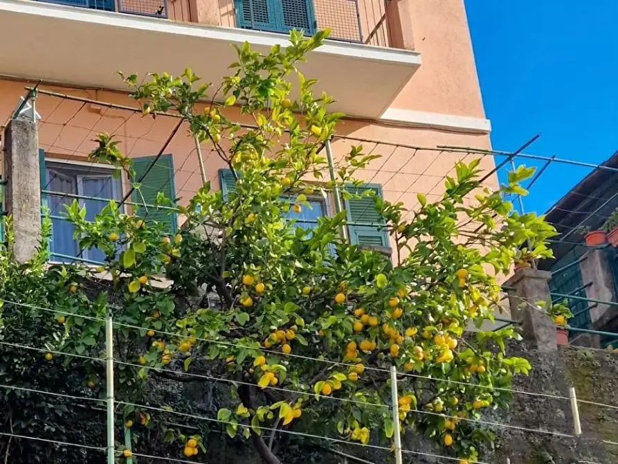 Immagine 2 di Casa semindipendente in vendita  in Via Borzoli 19 a Genova