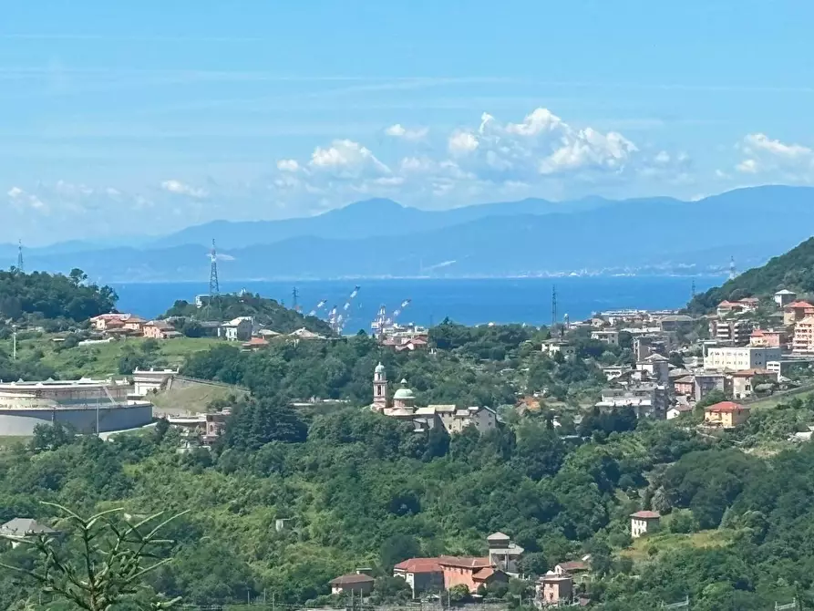 Immagine 1 di Appartamento in vendita  in Via Pierino Negrotto Cambiaso a Genova