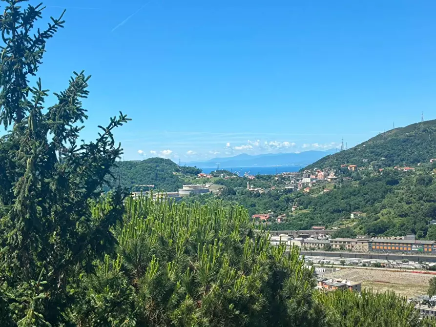 Immagine 2 di Appartamento in vendita  in Via Pierino Negrotto Cambiaso a Genova