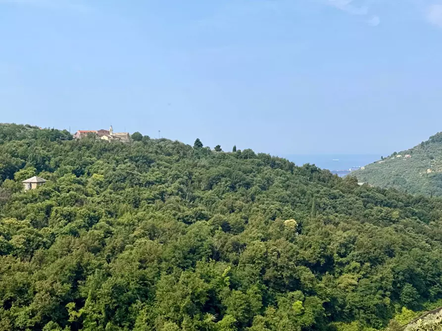 Immagine 10 di Casa semindipendente in vendita  in fraz san bartolomeo 38 a Bogliasco