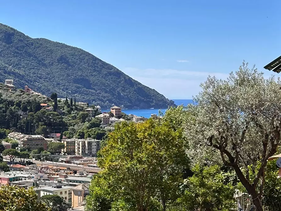 Immagine 26 di Appartamento in vendita  in Privata Gilberto Govi 1 a Recco