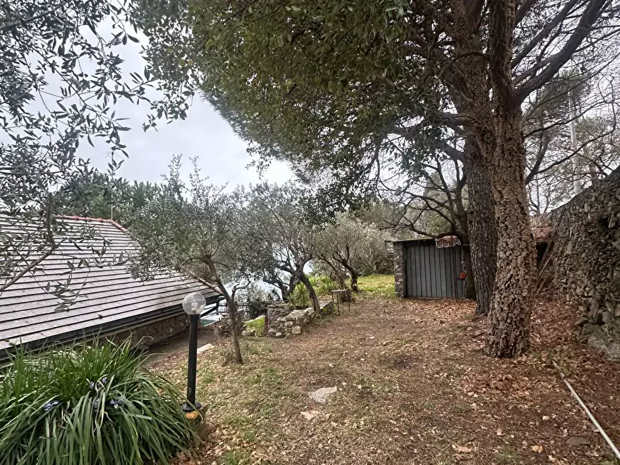 Immagine 15 di Villa in vendita  in Via Costa Di Cantalupo 21 a Genova