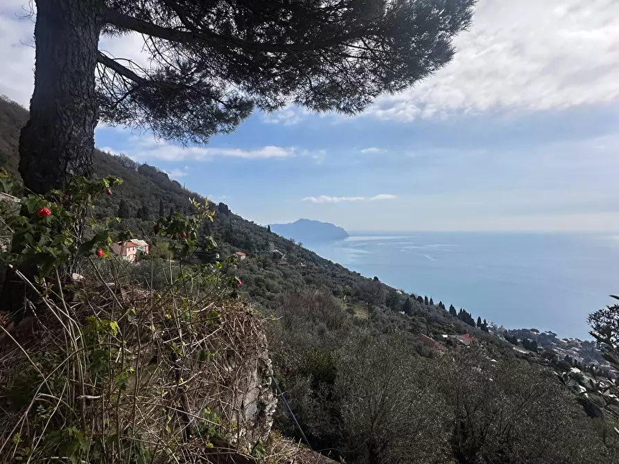Immagine 28 di Villa in vendita  in Via Costa Di Cantalupo 21 a Genova