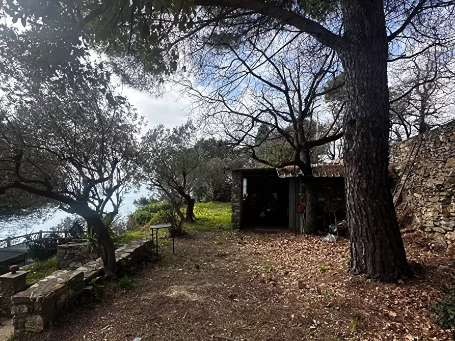 Immagine 31 di Villa in vendita  in Via Costa Di Cantalupo 21 a Genova