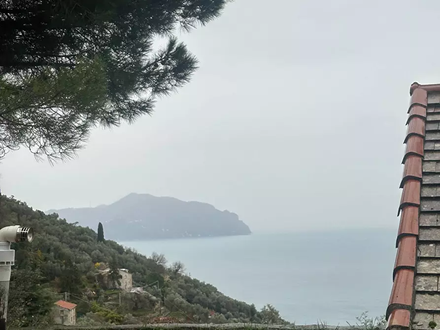 Immagine 33 di Villa in vendita  in Via Costa Di Cantalupo 21 a Genova