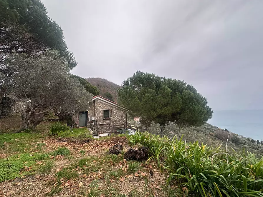 Immagine 34 di Villa in vendita  in Via Costa Di Cantalupo 21 a Genova