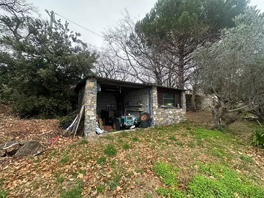 Immagine 36 di Villa in vendita  in Via Costa Di Cantalupo 21 a Genova