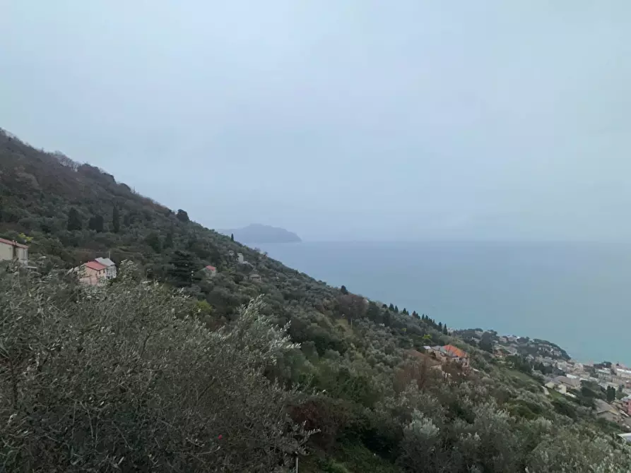 Immagine 47 di Villa in vendita  in Via Costa Di Cantalupo 21 a Genova