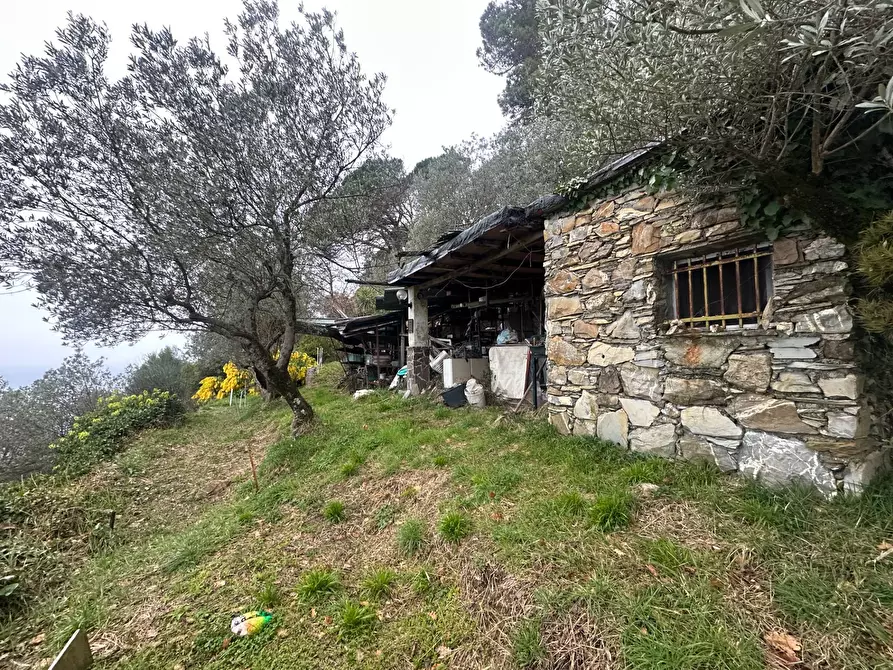 Immagine 57 di Villa in vendita  in Via Costa Di Cantalupo 21 a Genova
