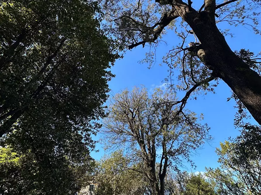 Immagine 34 di Appartamento in vendita  in Via Gorgona 2 a Genova