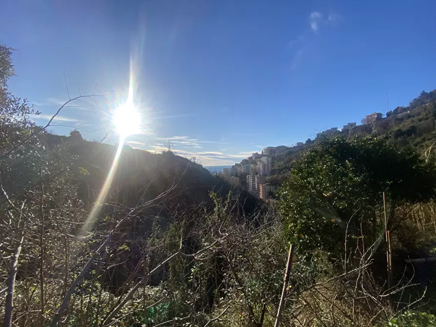 Immagine 14 di Villa in vendita  in VIA BARTOLOMEO BIANCO a Genova