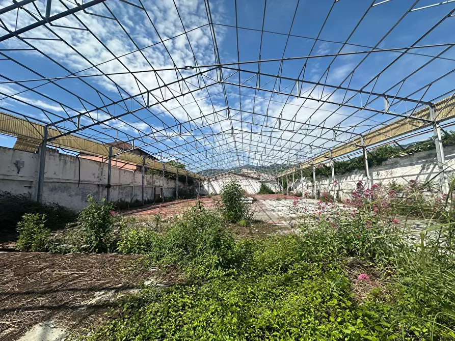 Immagine 5 di Capannone industriale in affitto  in Via Sardorella 16 a Genova