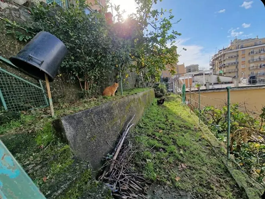 Immagine 31 di Appartamento in vendita  in Via Borzoli 19 a Genova