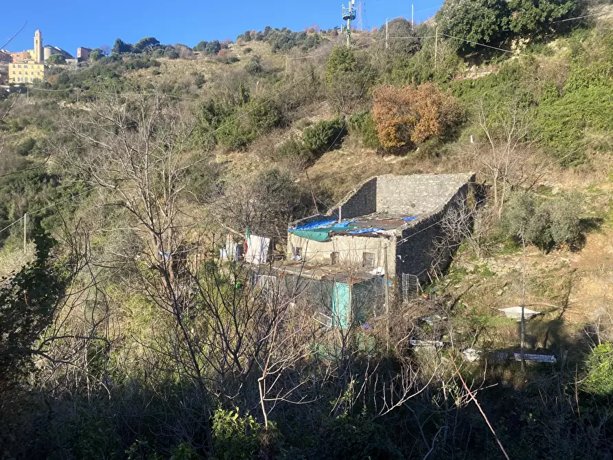 Immagine 14 di Villa in vendita  in VIA BARTOLOMEO BIANCO a Genova