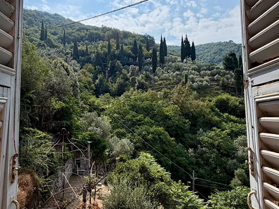 Immagine 11 di Casa semindipendente in vendita  in fraz san bartolomeo 38 a Bogliasco