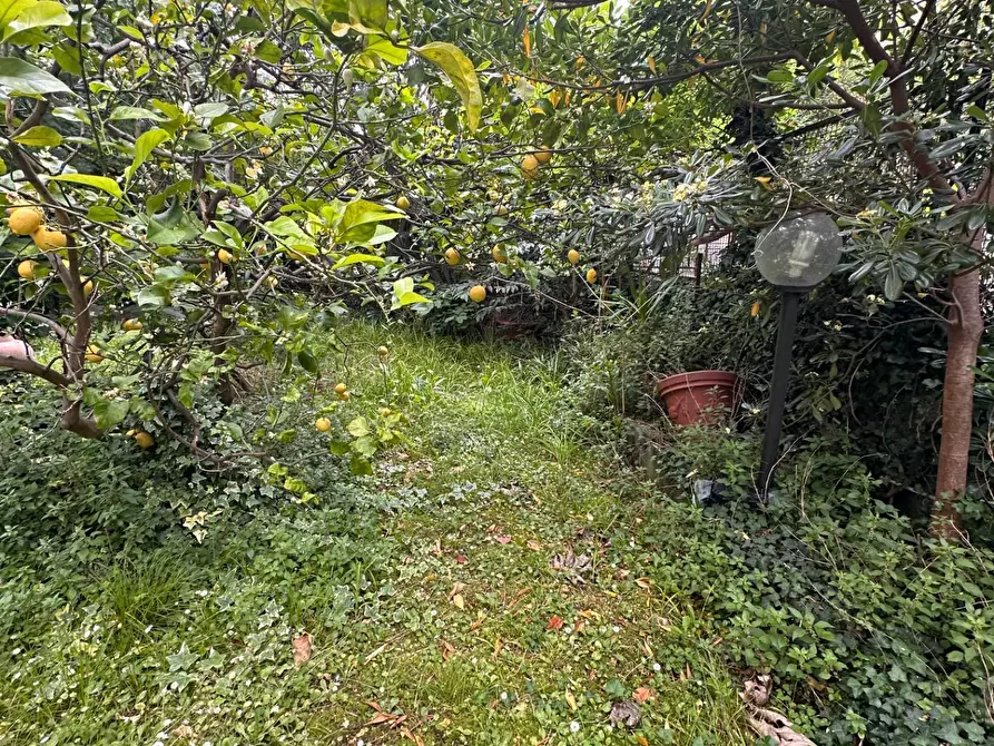 Immagine 24 di Appartamento in vendita  in Via Riese 70 a Genova