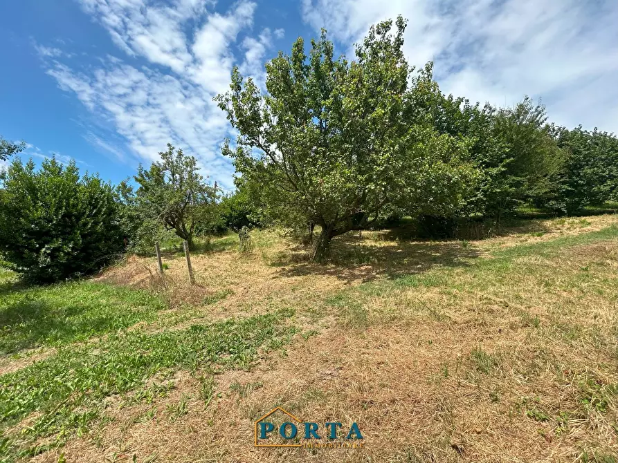 Immagine 32 di Casa indipendente in vendita  in Borgata Prà del Pozzo 8 a Barolo