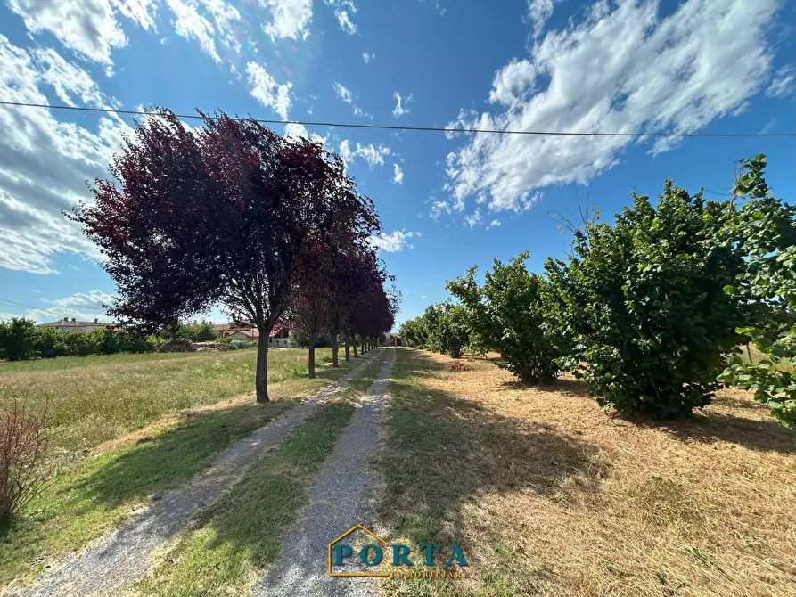 Immagine 39 di Casa indipendente in vendita  in Via Costamagna 2a a Barolo