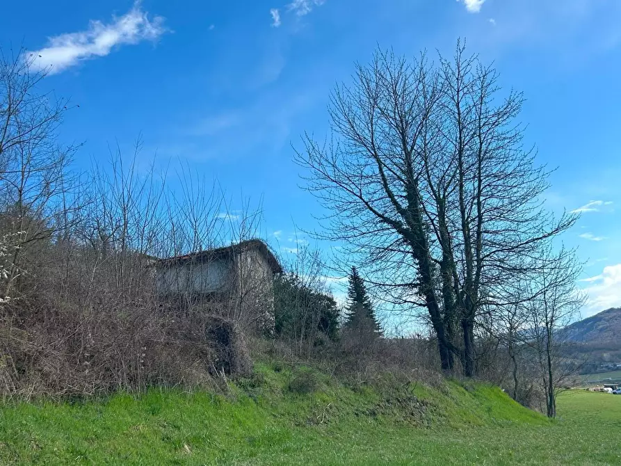 Immagine 3 di Terreno agricolo in vendita  in Via Sale San Giovanni a Ceva