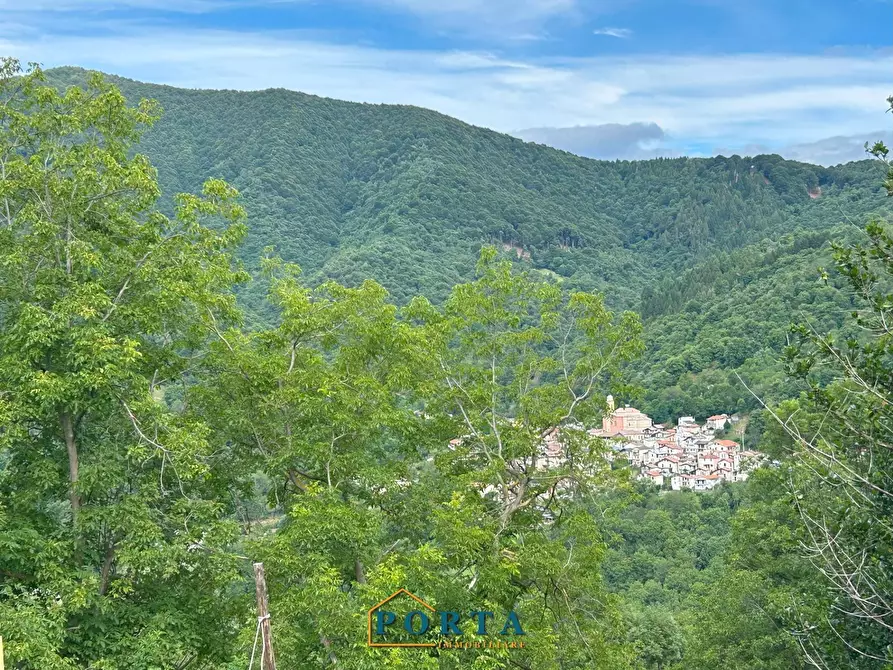 Immagine 1 di Rustico / casale in vendita  in Borgata Baracco snc a Roccaforte Mondovì