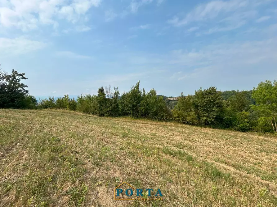 Immagine 2 di Terreno agricolo in vendita  a Barolo