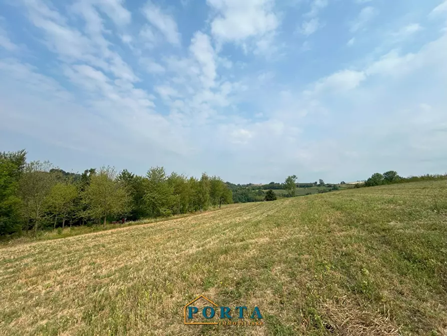 Immagine 4 di Terreno agricolo in vendita  a Barolo