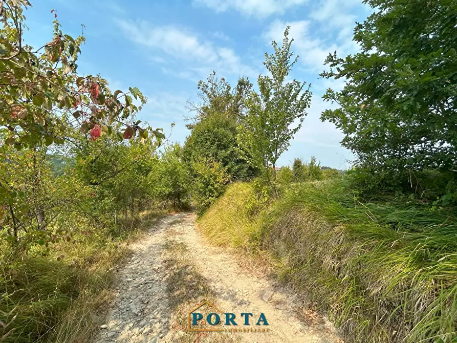 Immagine 5 di Terreno agricolo in vendita  a Barolo