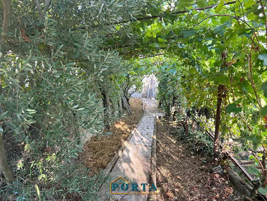 Immagine 40 di Casa indipendente in vendita  in Via Verdino 105 a Barolo