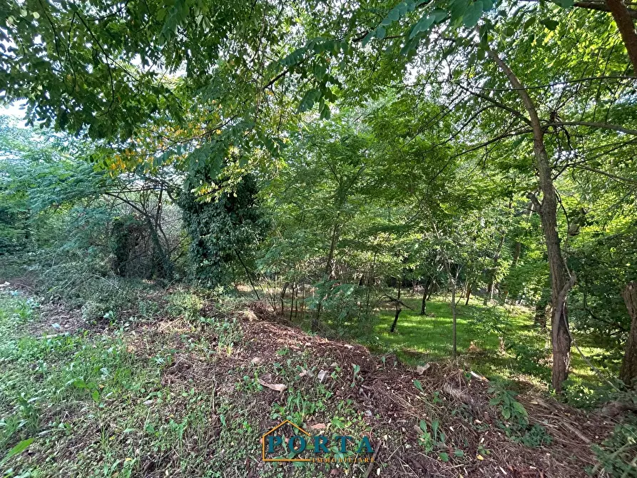 Immagine 21 di Rustico / casale in vendita  in Strada Orià 62 a Carrù