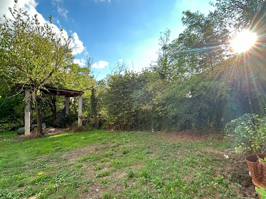 Immagine 20 di Rustico / casale in vendita  in Strada Orià 62 a Carrù