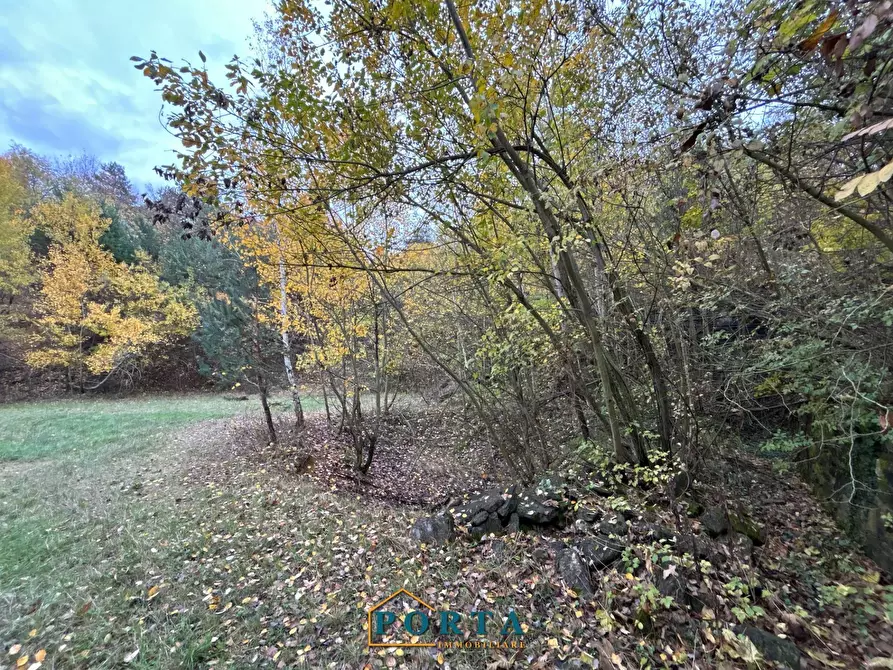 Immagine 6 di Rustico / casale in vendita  in Frazione Mollere 3 a Ceva