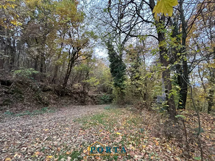 Immagine 25 di Rustico / casale in vendita  in Frazione Mollere 3 a Ceva