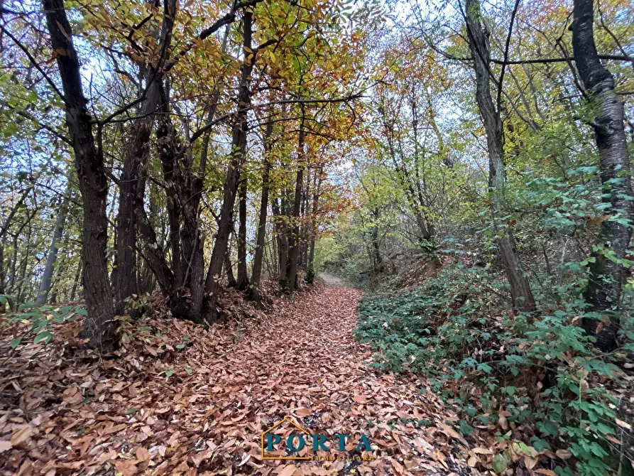 Immagine 24 di Rustico / casale in vendita  in Frazione Mollere 3 a Ceva