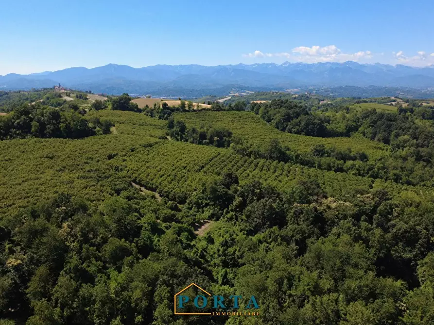 Immagine 42 di Casa indipendente in vendita  in Borgata Prà del Pozzo 8 a Barolo