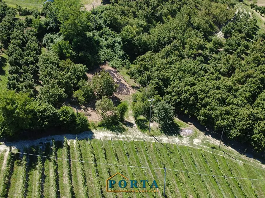 Immagine 48 di Casa indipendente in vendita  in Borgata Prà del Pozzo 8 a Barolo