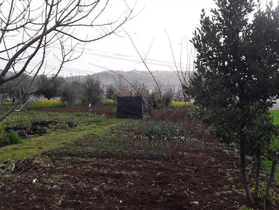 Immagine 10 di Terreno residenziale in vendita  a Cepagatti