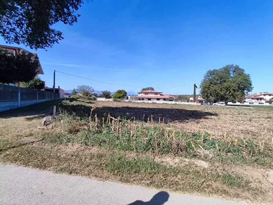 Immagine 4 di Terreno residenziale in vendita  a Cepagatti