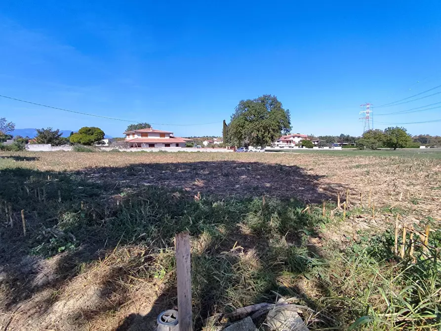 Immagine 6 di Terreno residenziale in vendita  a Cepagatti