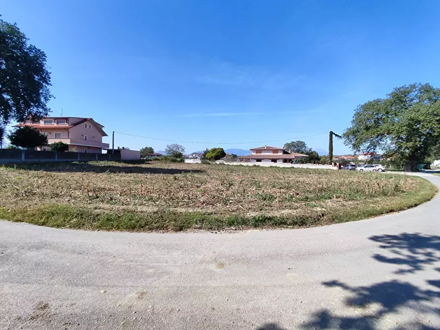 Immagine 11 di Terreno residenziale in vendita  a Cepagatti