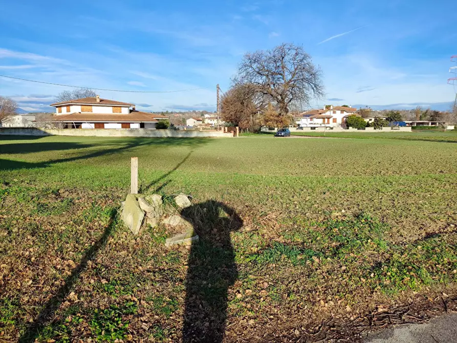 Immagine 3 di Terreno residenziale in vendita  a Cepagatti