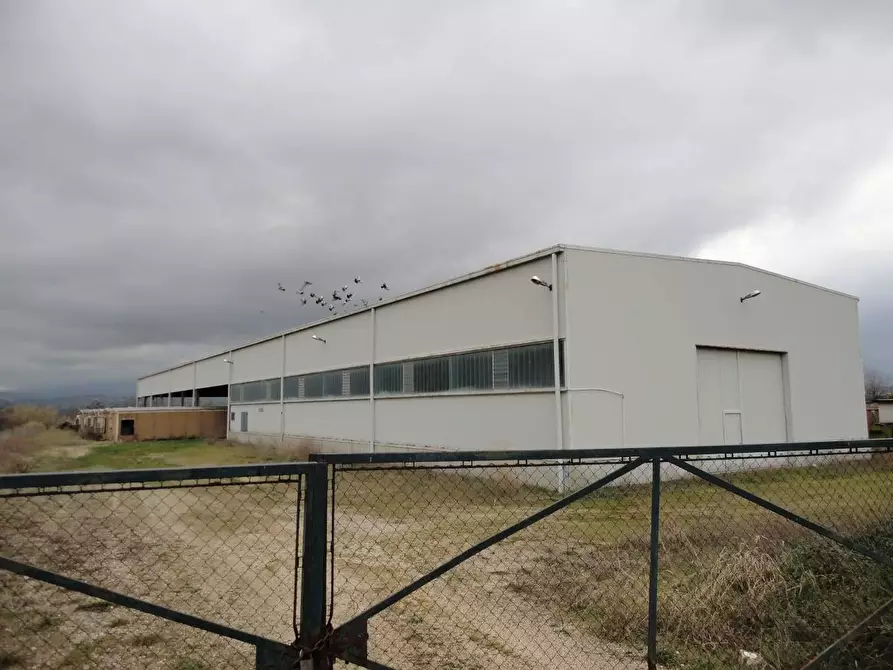 Immagine 7 di Capannone industriale in vendita  in Strada Provinciale 20 a Abbateggio