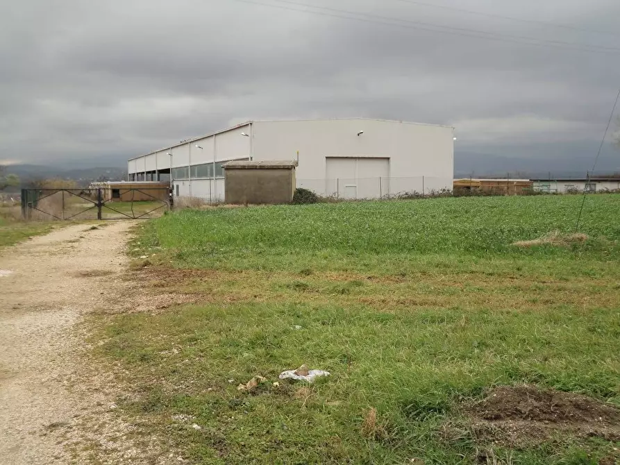 Immagine 10 di Capannone industriale in vendita  in Strada Provinciale 20 a Abbateggio