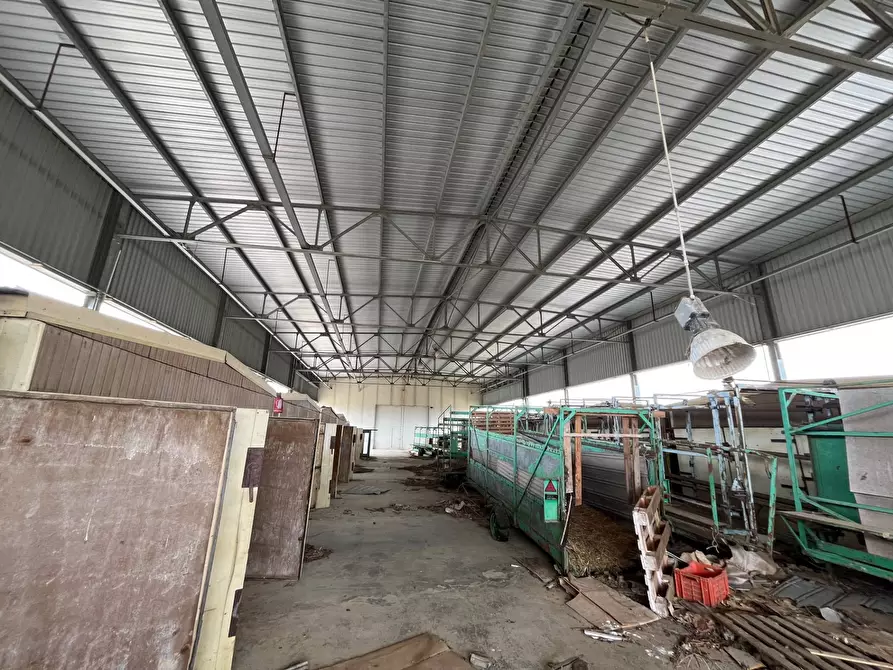 Immagine 16 di Capannone industriale in vendita  in Strada Provinciale 20 a Abbateggio