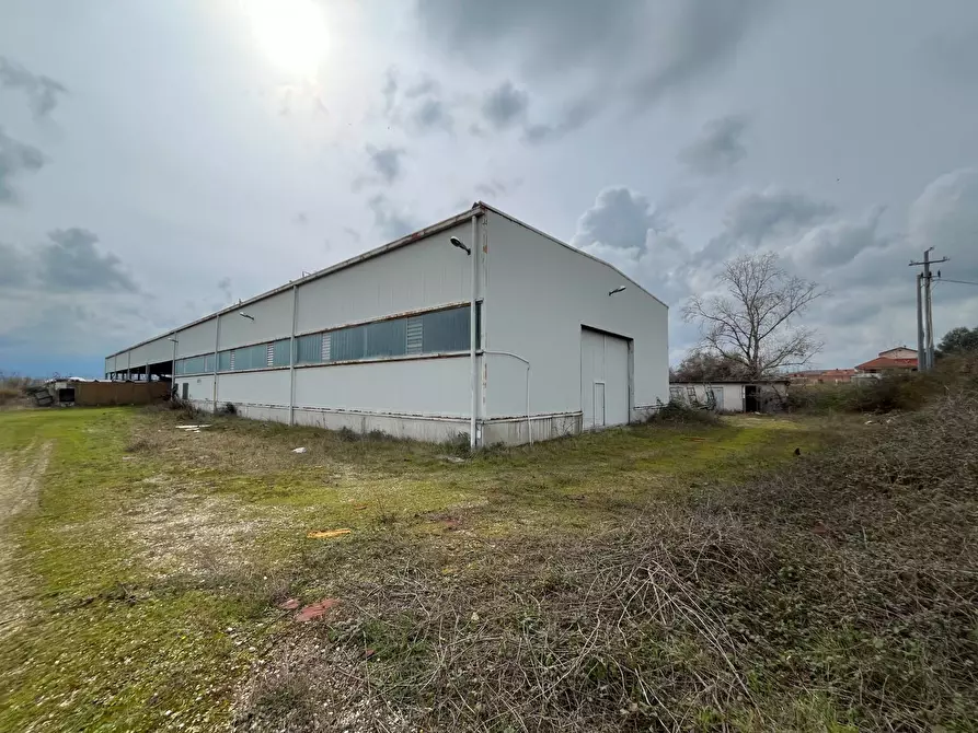 Immagine 5 di Capannone industriale in vendita  in Strada Provinciale 20 a Abbateggio