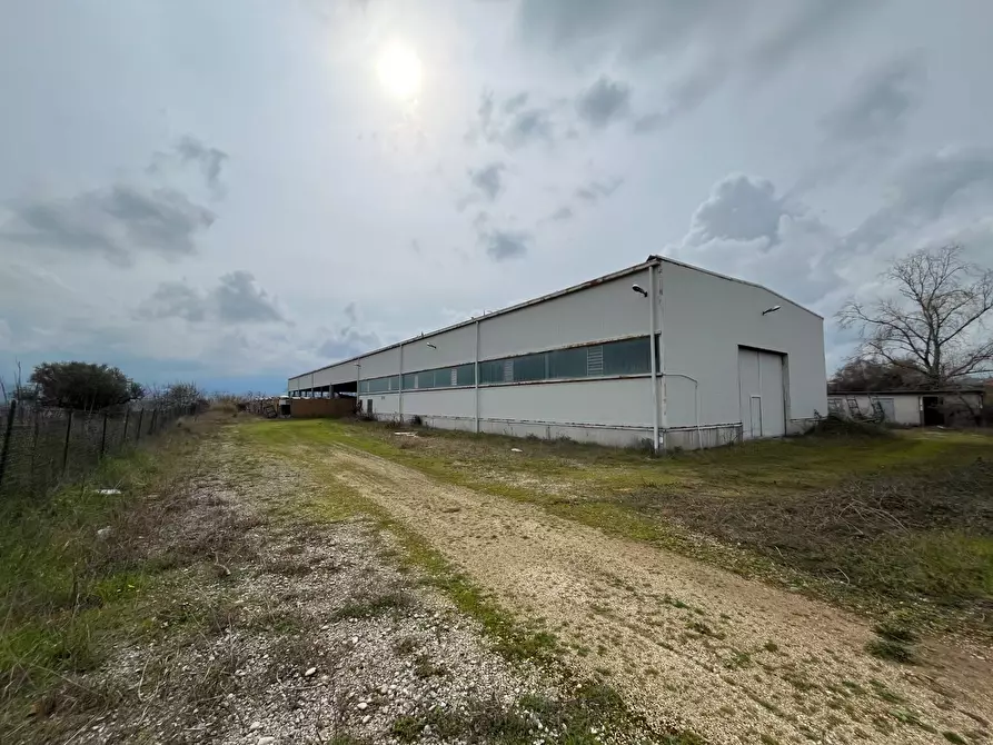 Immagine 3 di Capannone industriale in vendita  in Strada Provinciale 20 a Abbateggio