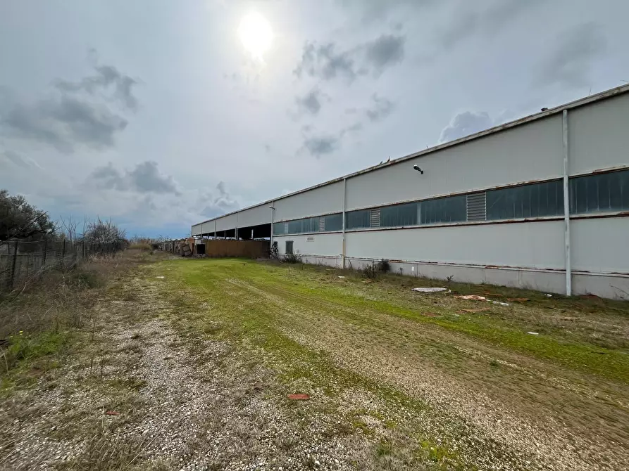 Immagine 4 di Capannone industriale in vendita  in Strada Provinciale 20 a Abbateggio
