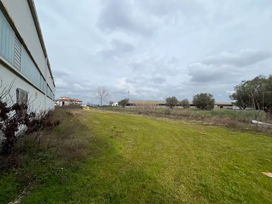 Immagine 11 di Capannone industriale in vendita  in Strada Provinciale 20 a Abbateggio