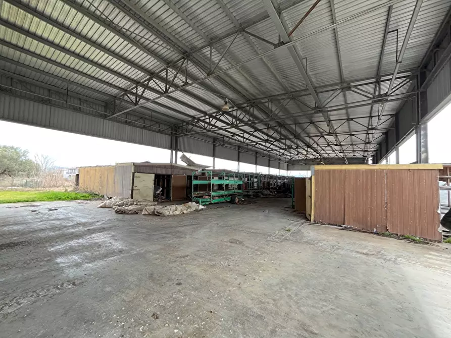 Immagine 15 di Capannone industriale in vendita  in Strada Provinciale 20 a Abbateggio